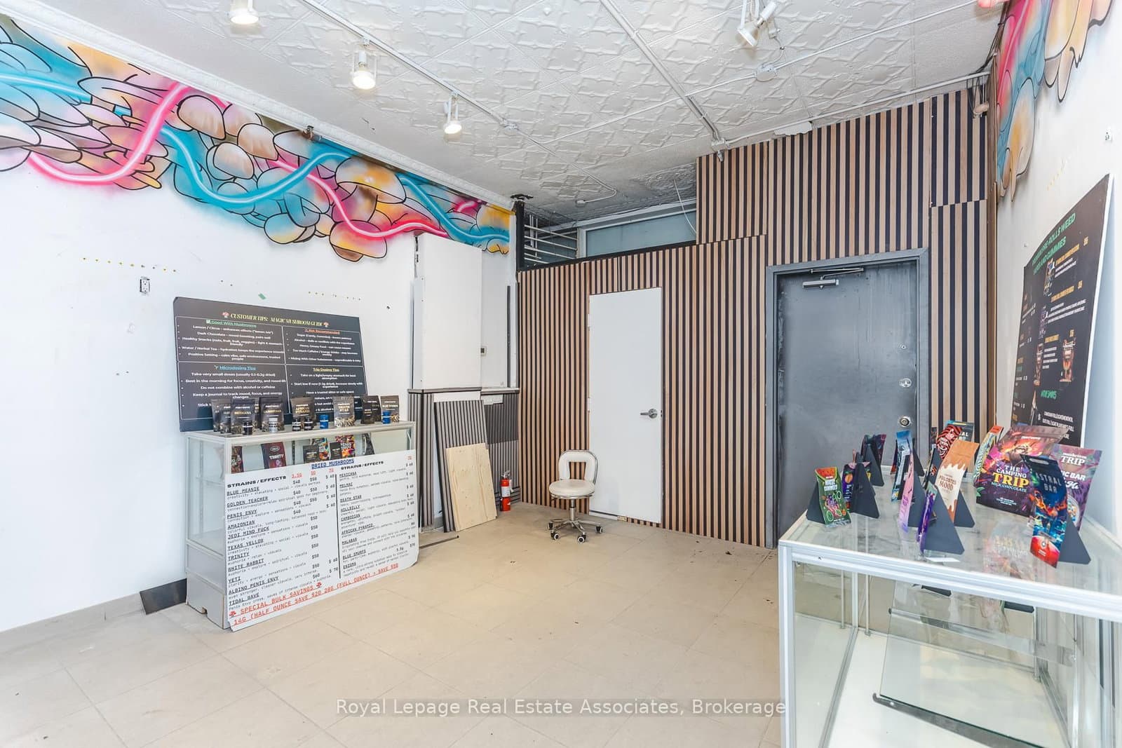 497 Bloor Street W, Unit Main - Image 5