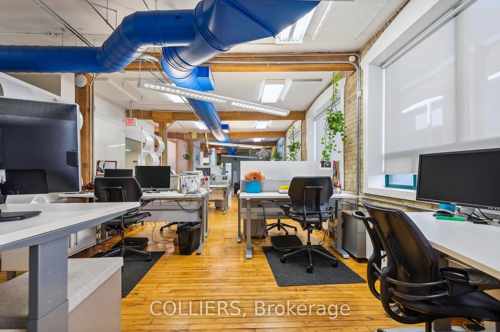 282 Richmond Street E, Unit 300 - Image 5