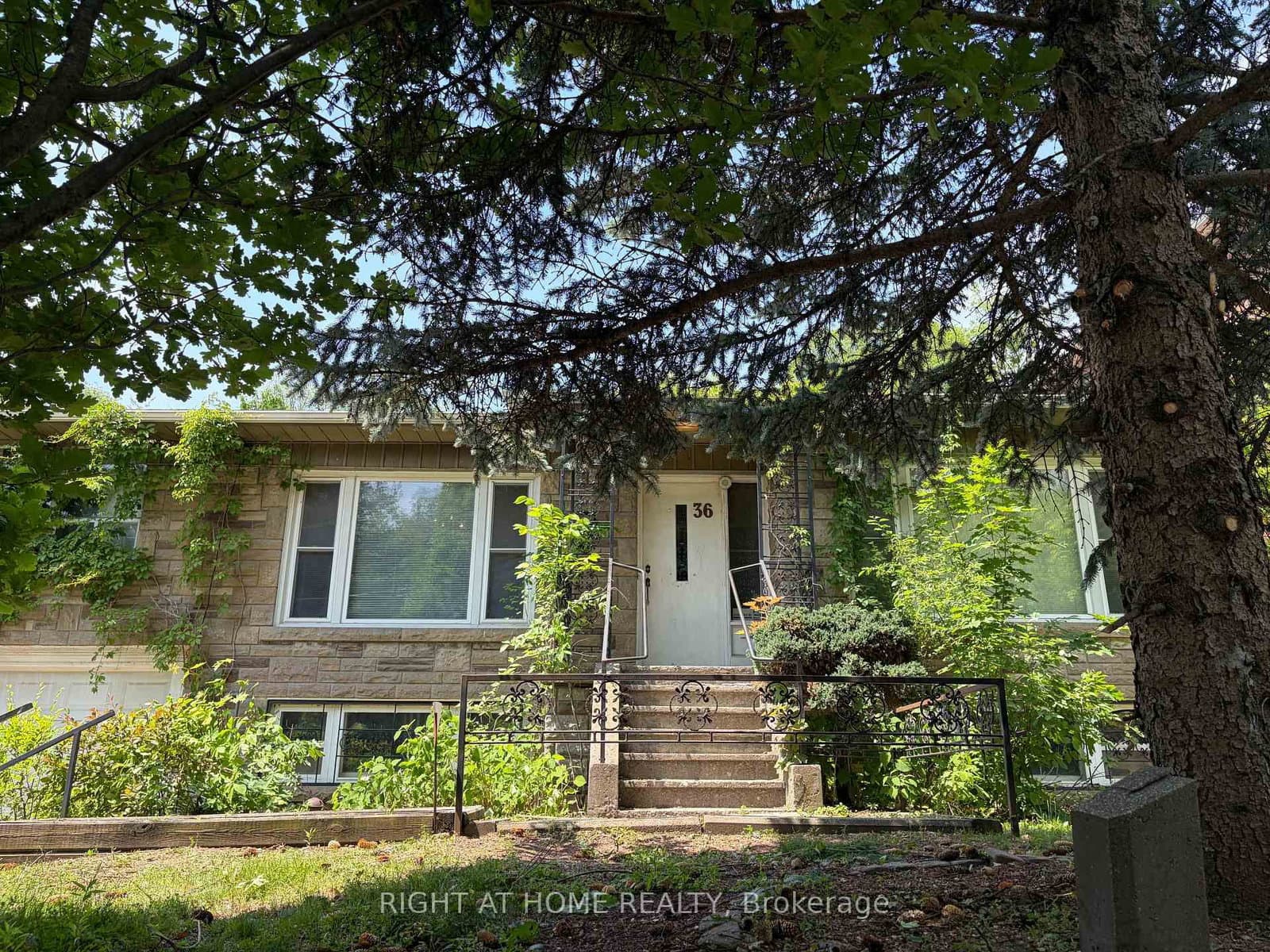36 Forest Wood - Image 2