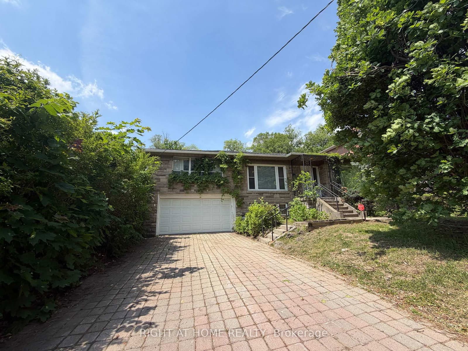 36 Forest Wood - Image 3