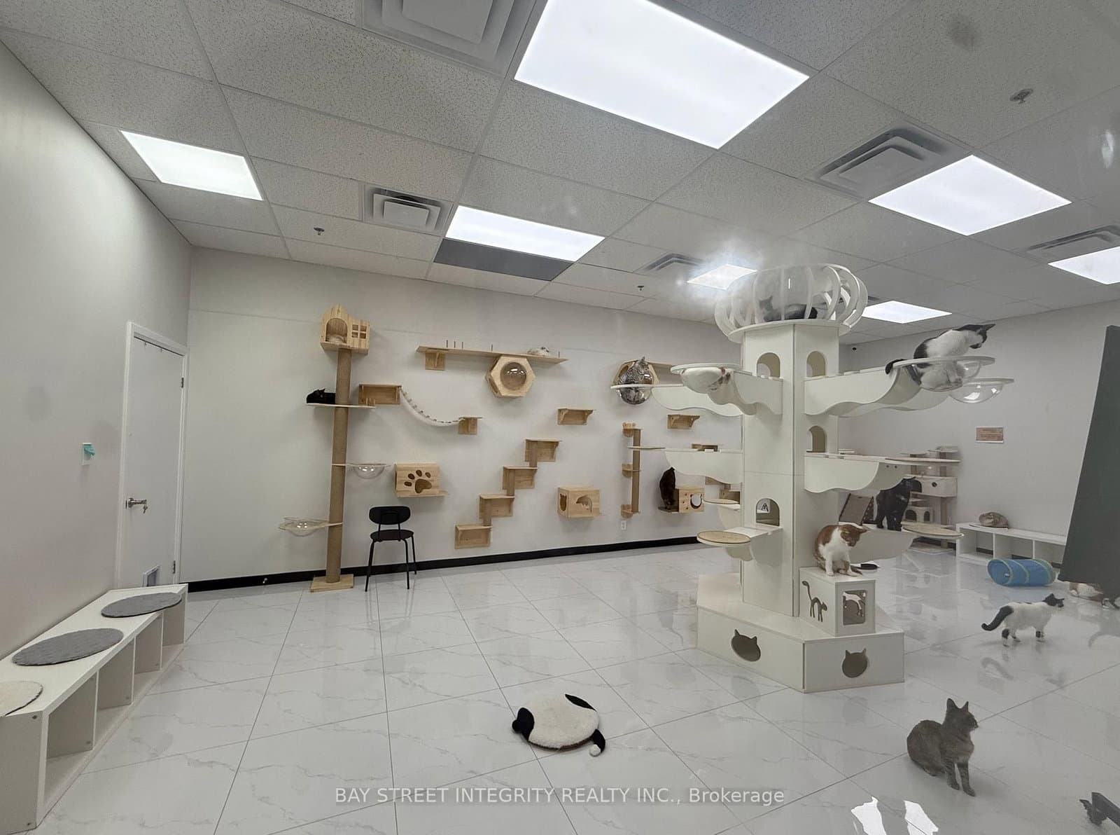 327 - 333 Queen Street W, Unit Ground - Image 3
