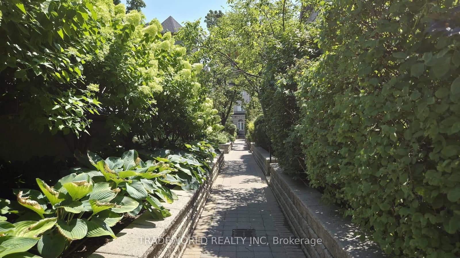37 Avondale Avenue, Unit 513 - Image 3