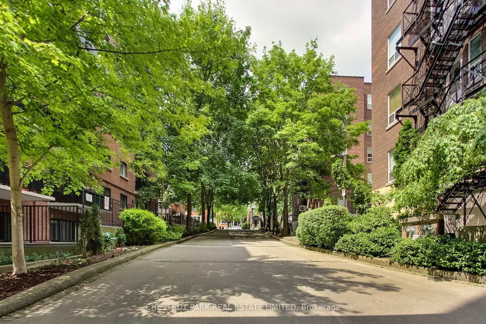 97 Lawton Boulevard, Unit 201 - Image 3
