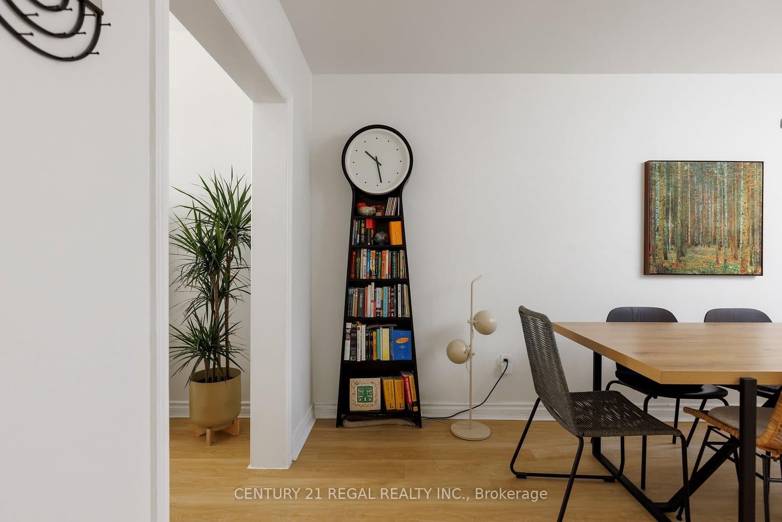 55 Shirley Street - Image 6