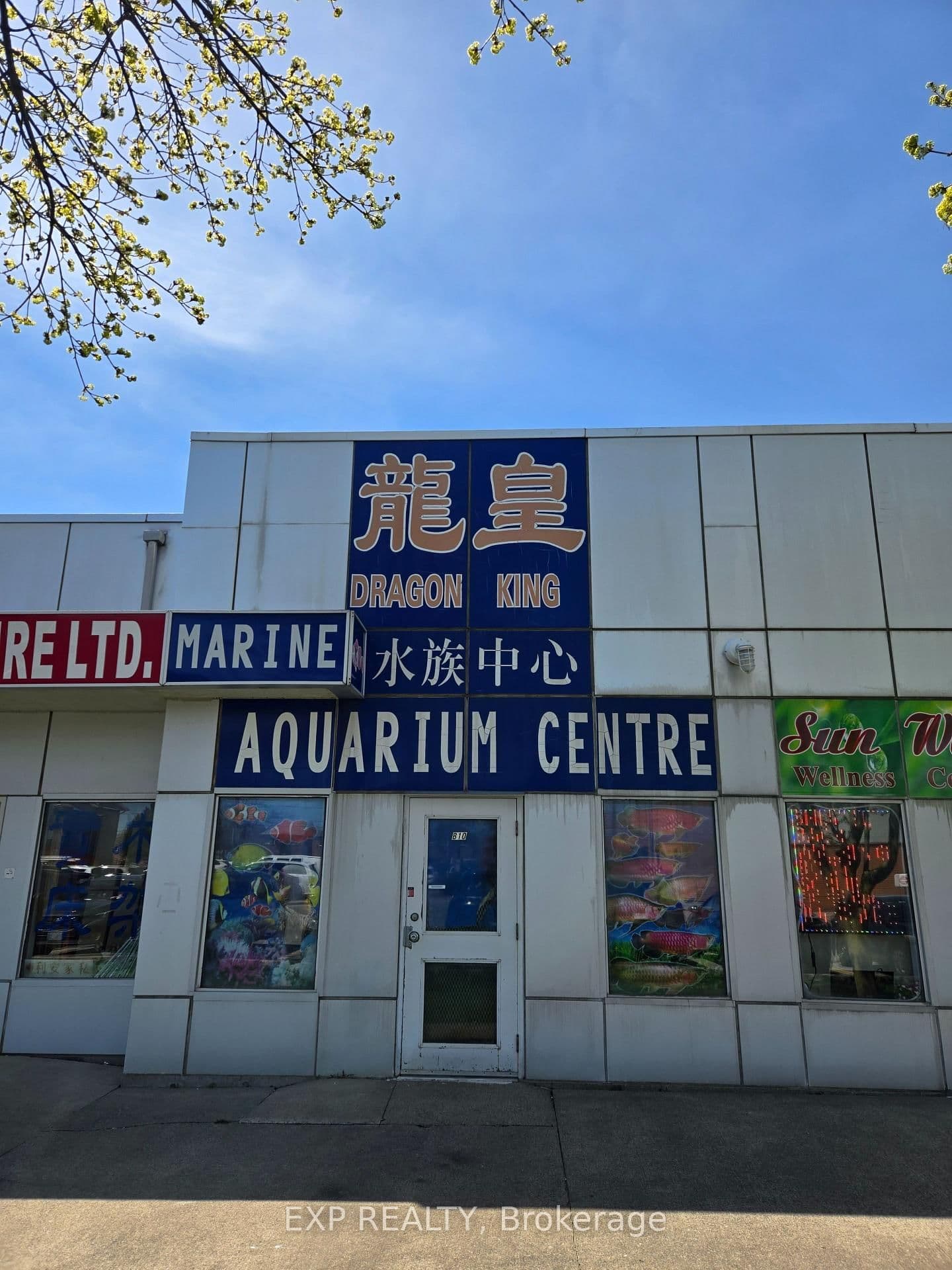 4779 Steeles Avenue E, Unit B10 - Image 6