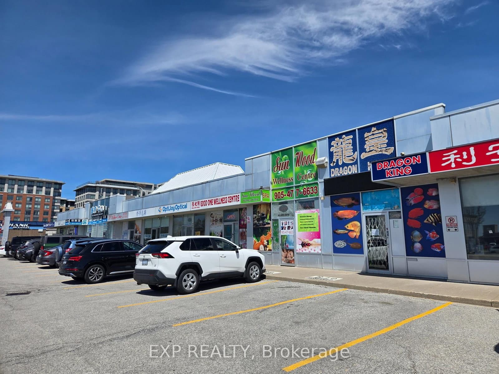 4779 Steeles Avenue E, Unit B10 - Image 3