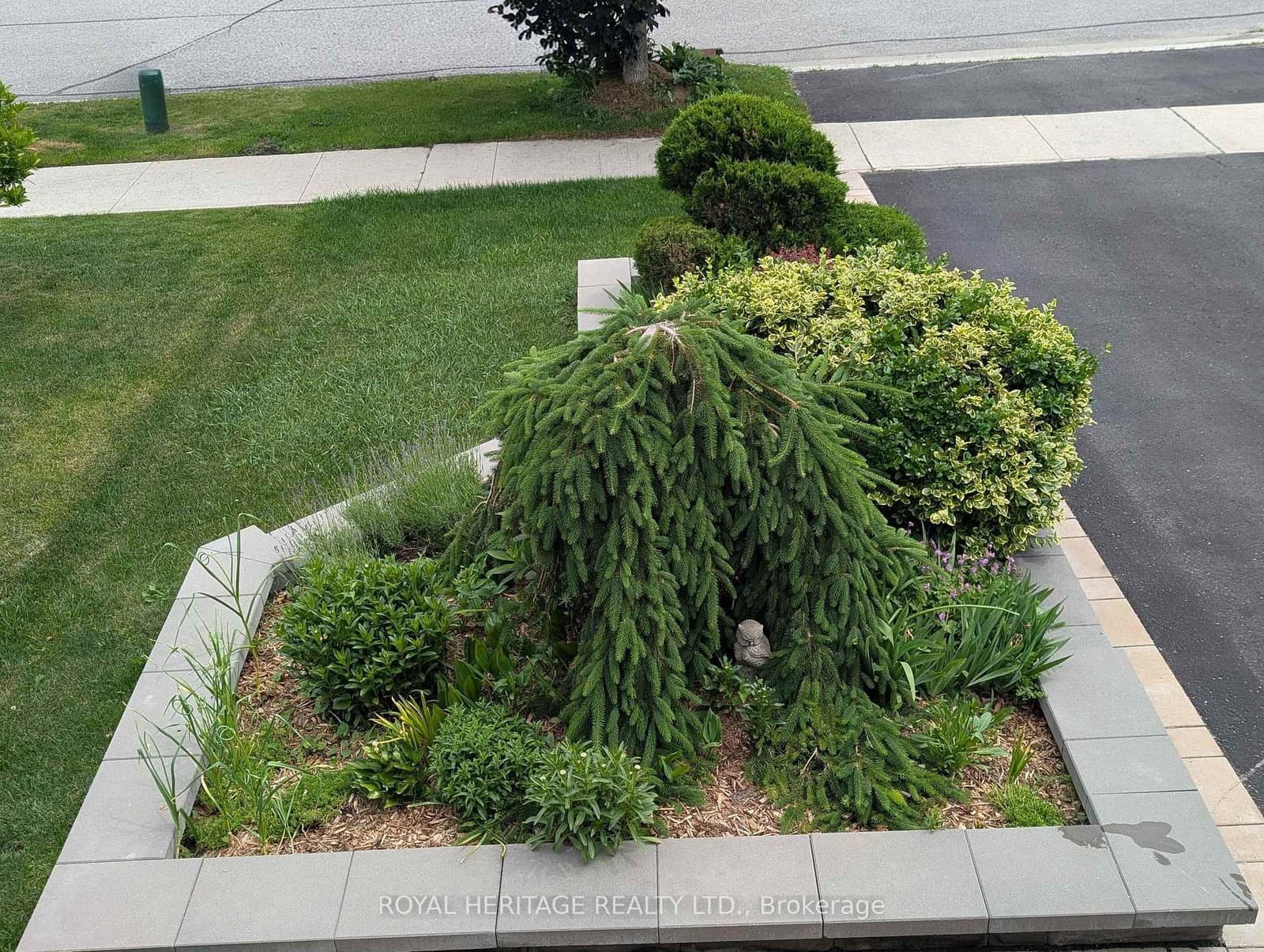 51 Gloria Crescent - Image 3