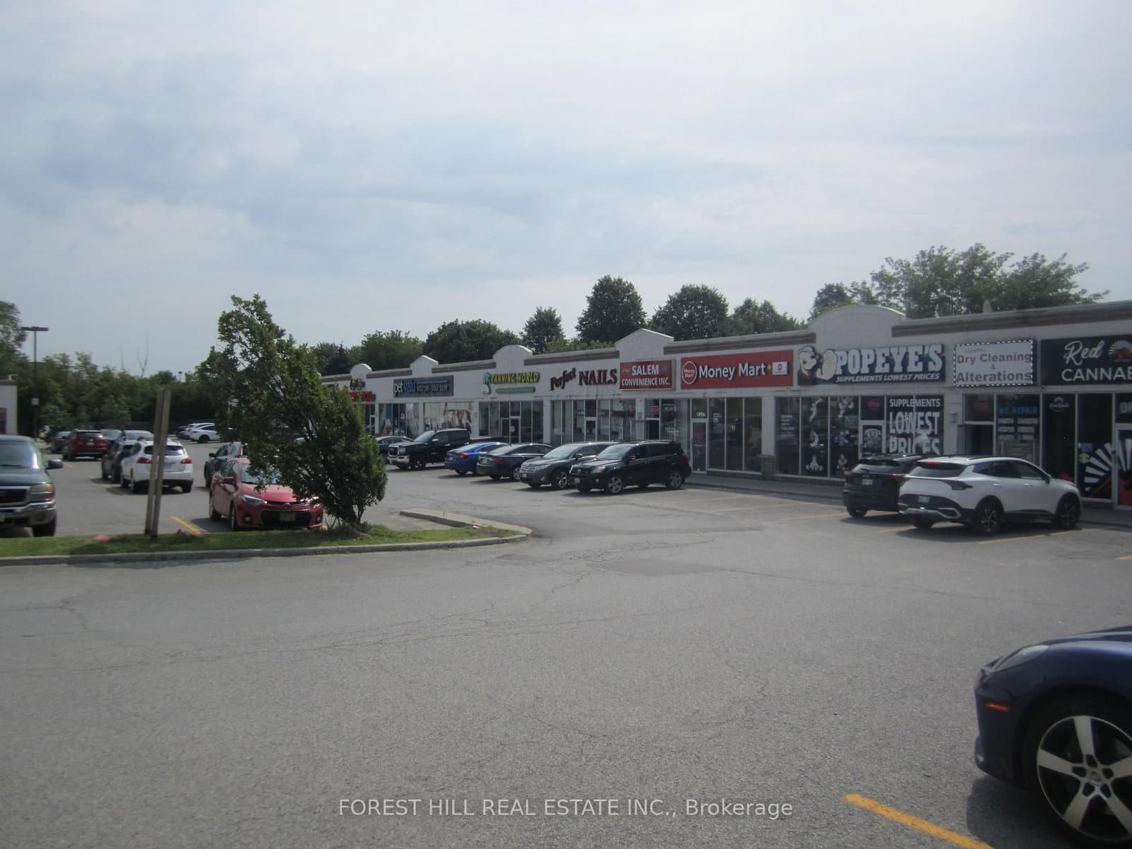 65 Kingston Road E, Unit 2 - Image 4