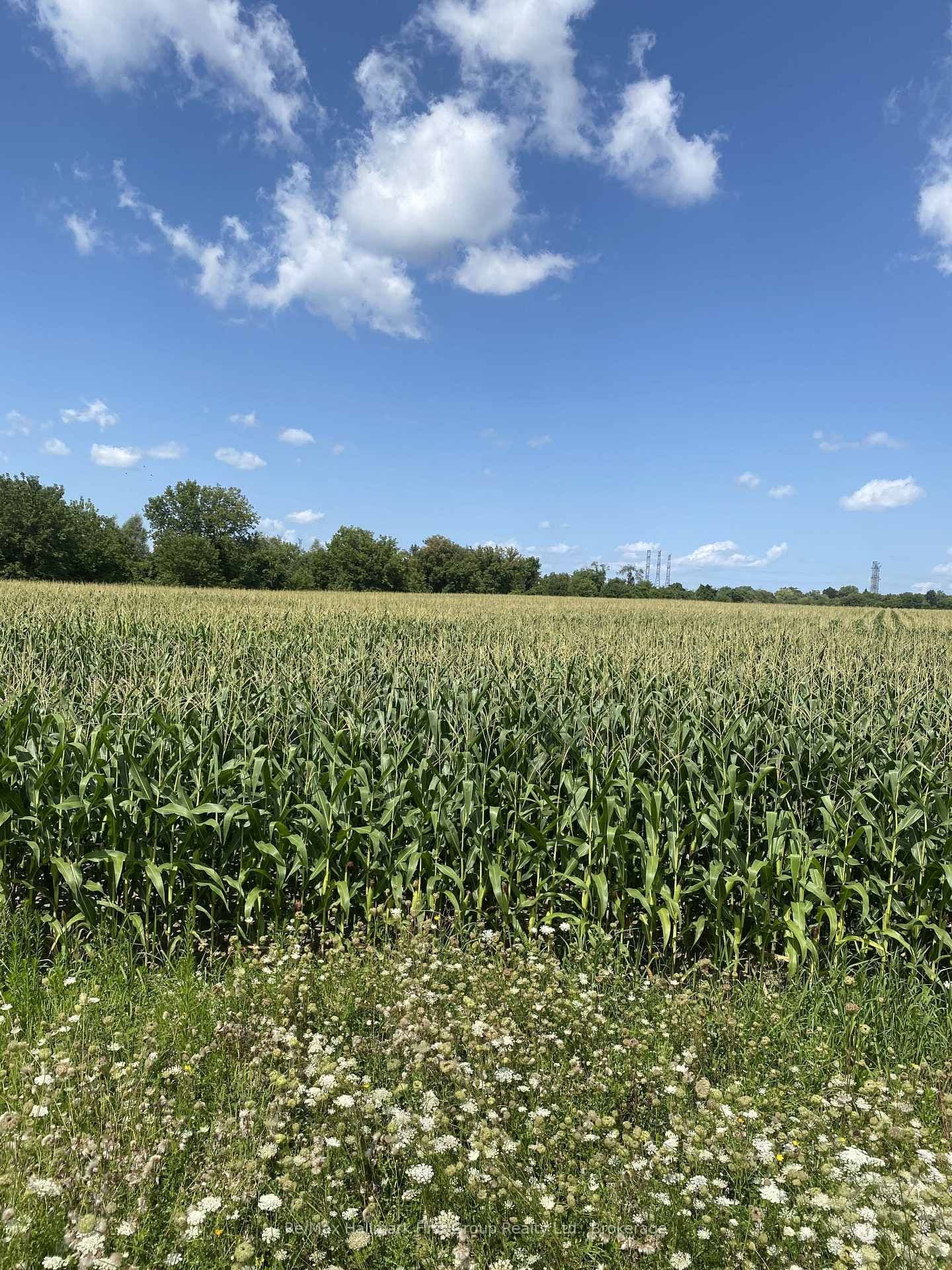 800 Conlin Road - Image 3