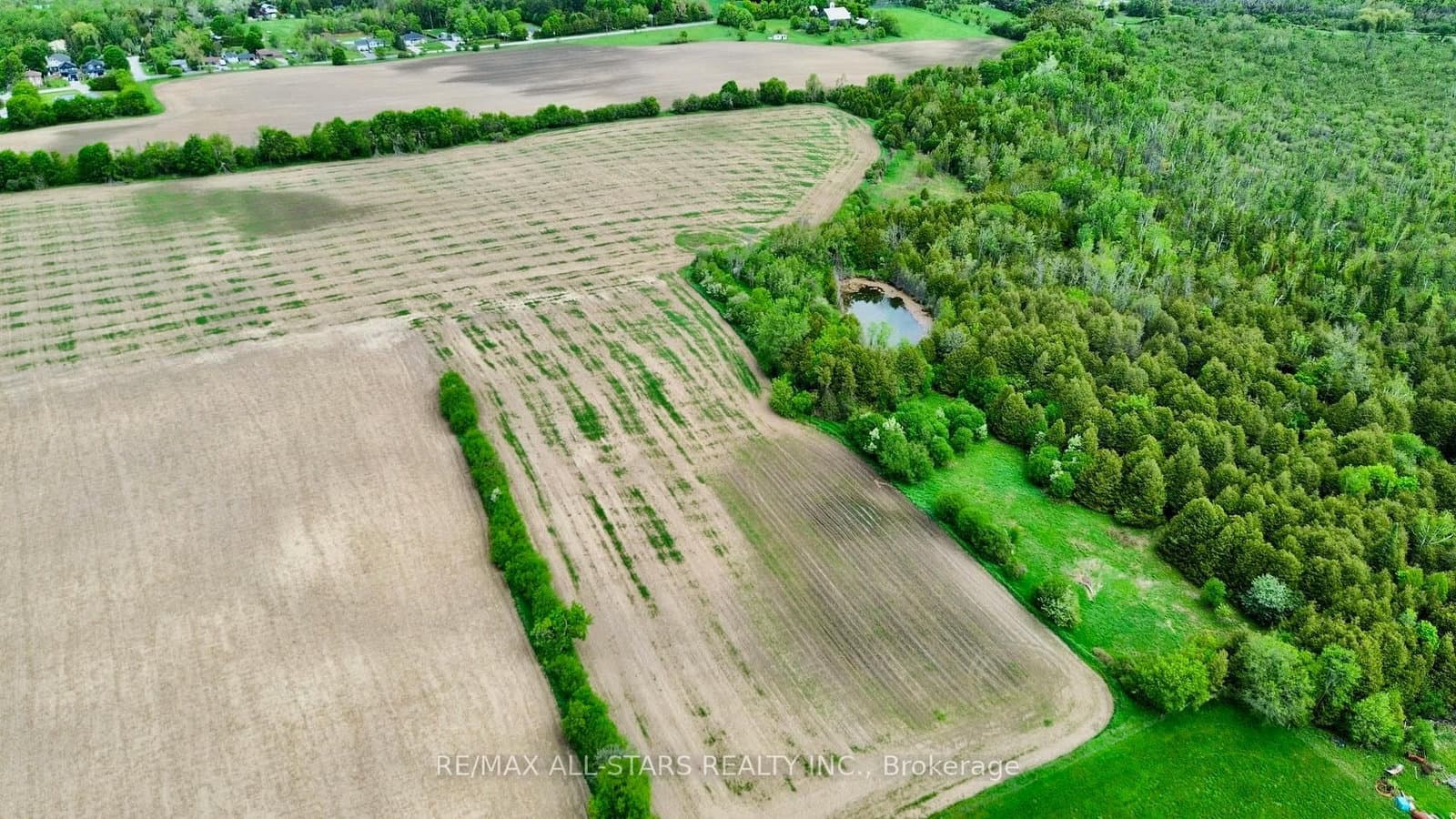 14629 Regional 1 Road - Image 4