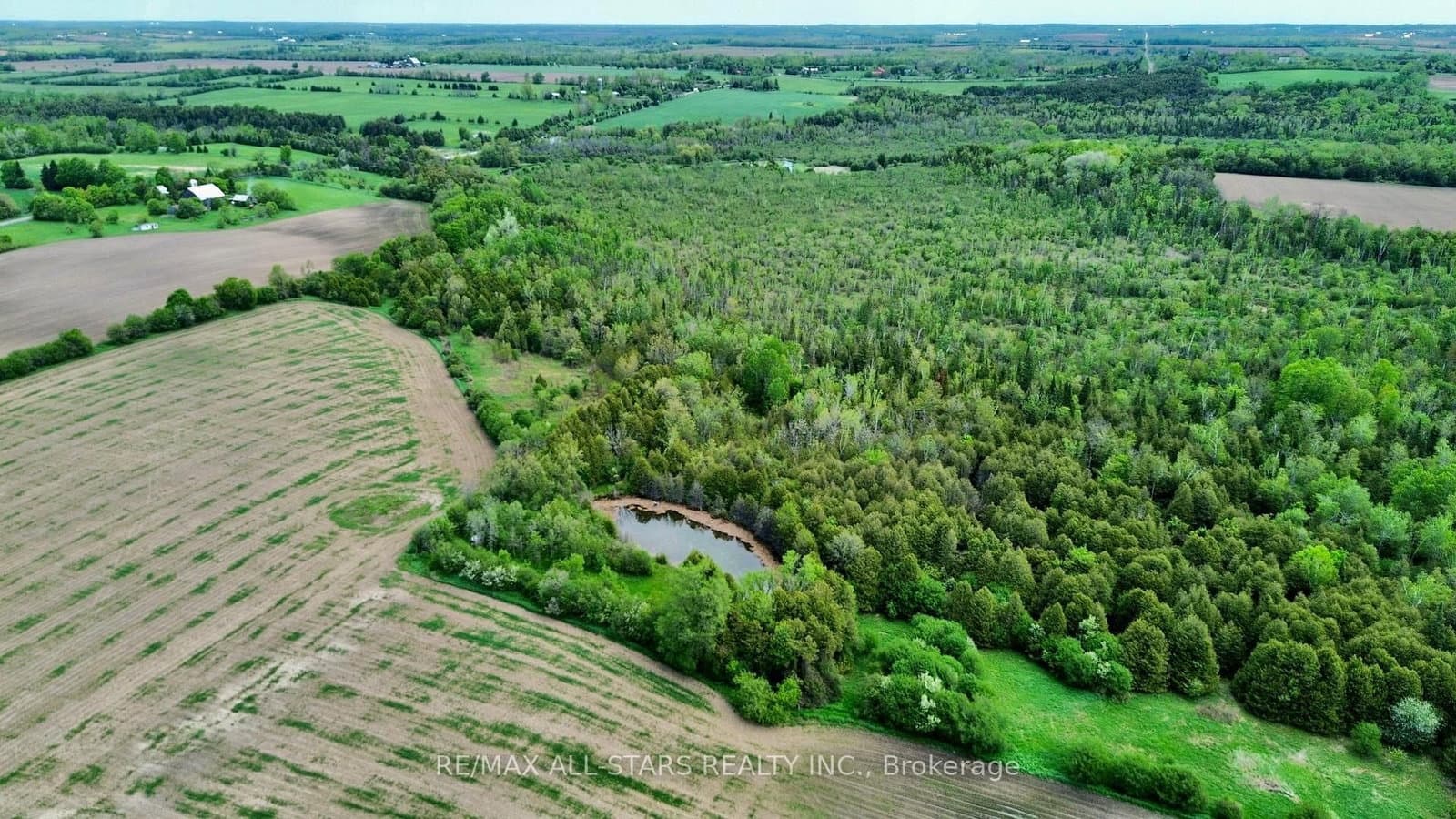 14629 Regional 1 Road - Image 5