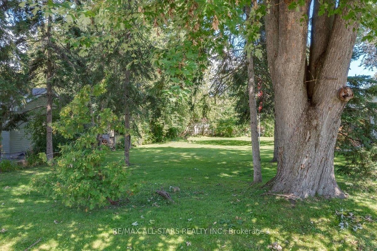 288 Woodycrest Avenue - Image 3