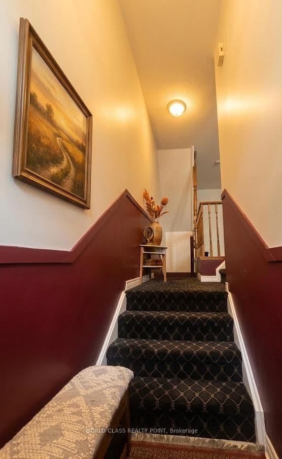 7 Carnation Road - Image 5