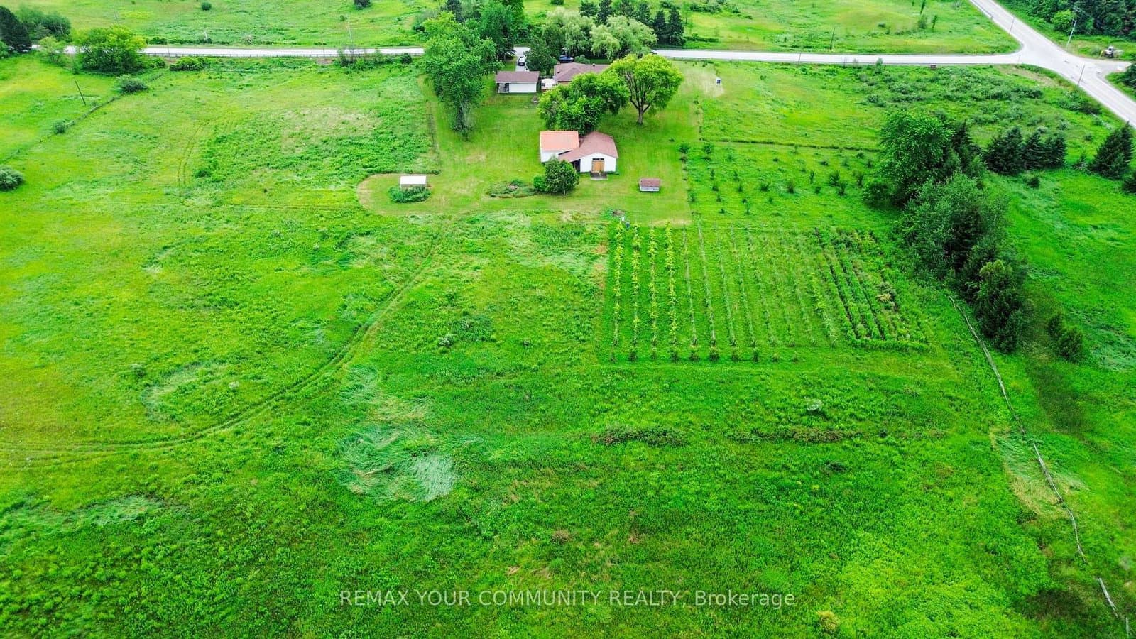 2950 17th Side Road - Image 5