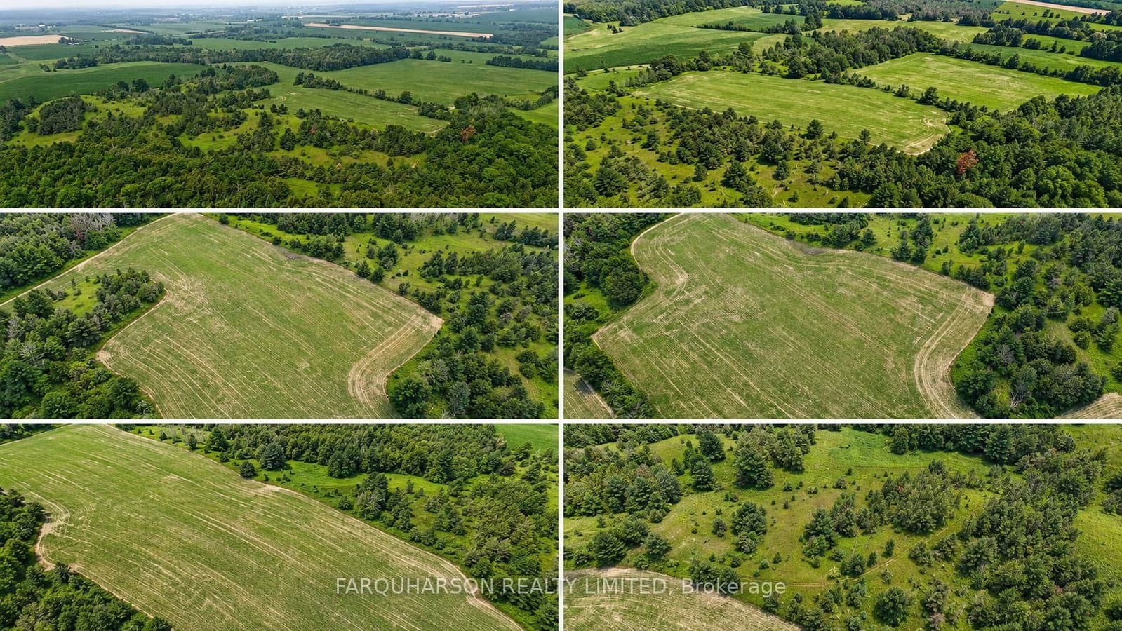 PT LT 34 Concession 1 Road - Image 1