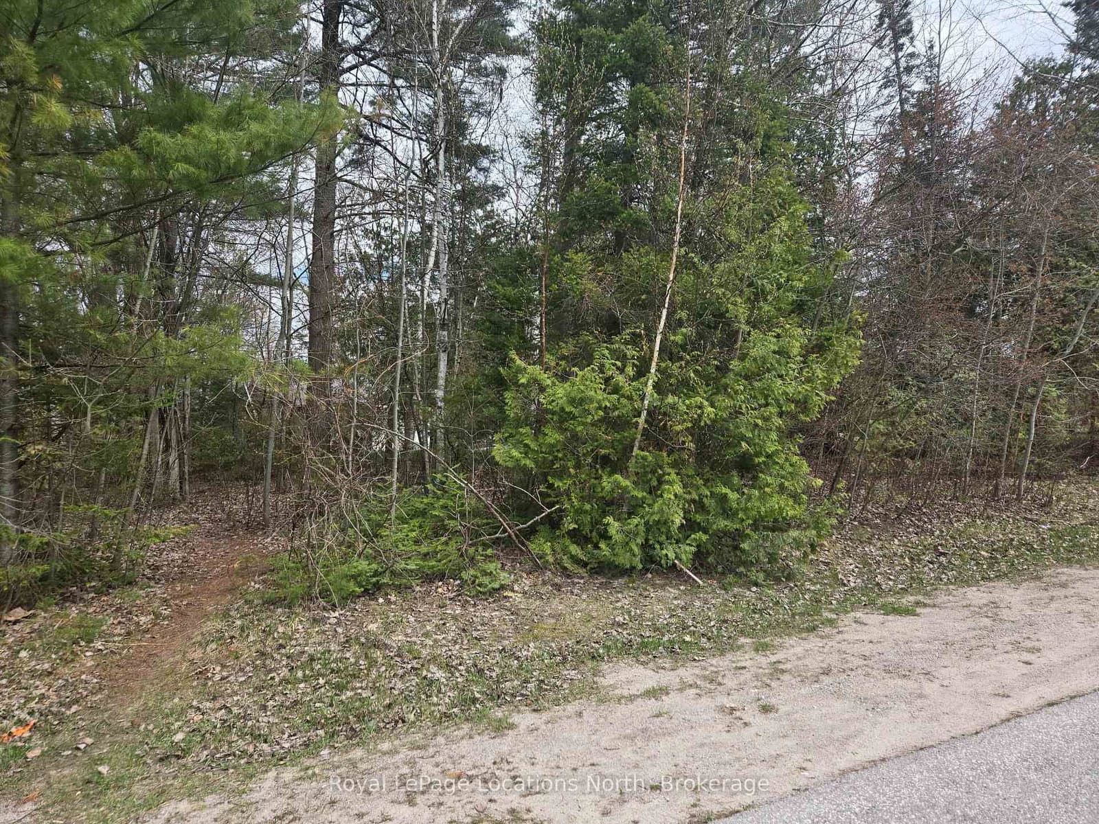 101 Sunnidale Road N - Image 6