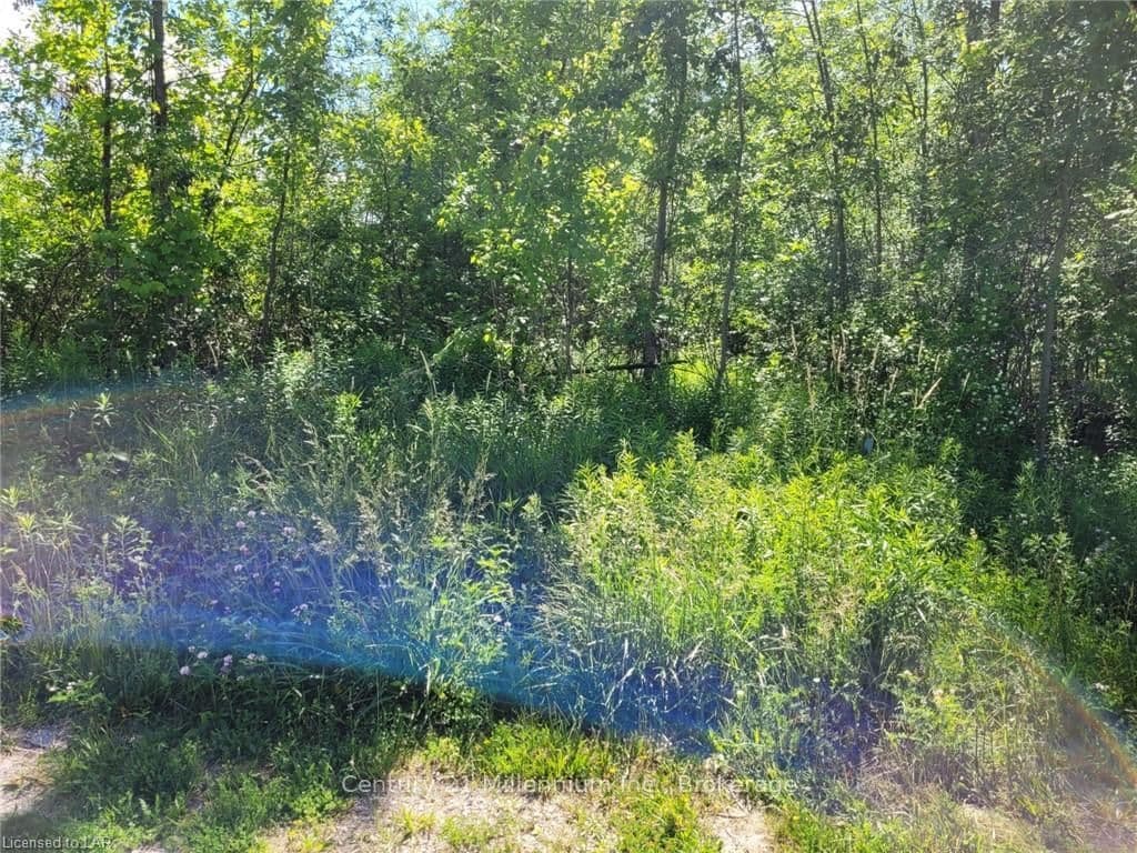 11325 26 Highway - Image 6
