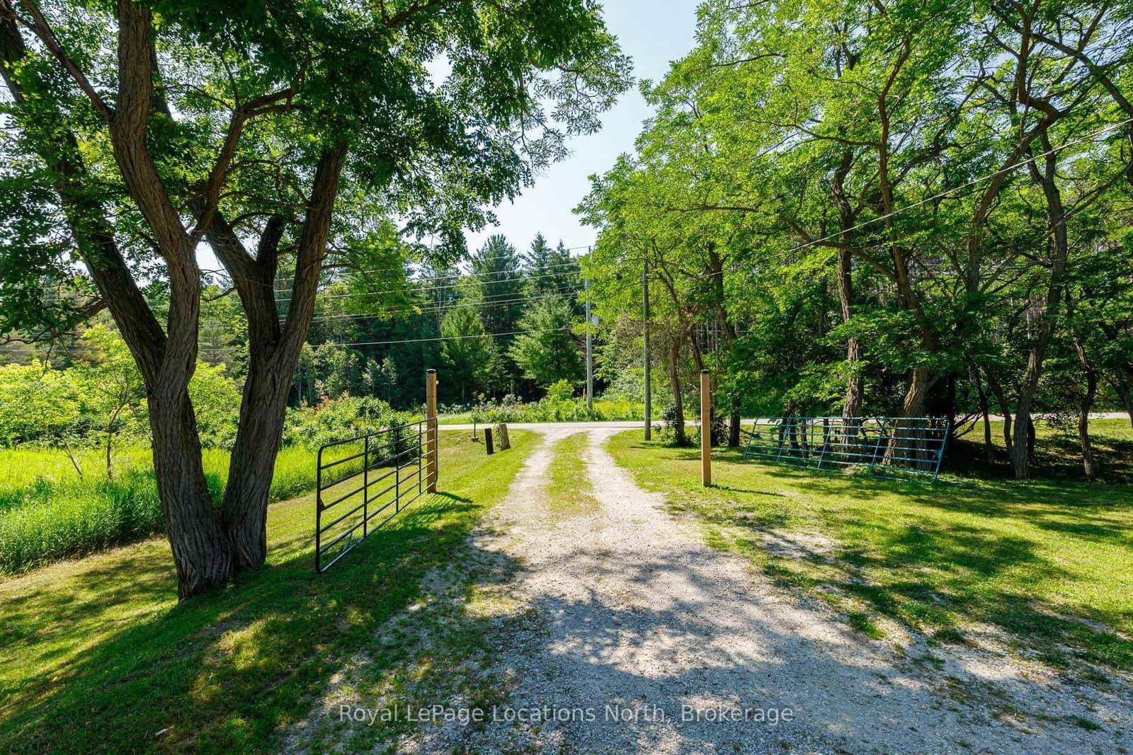 4080 12 Concession - Image 4