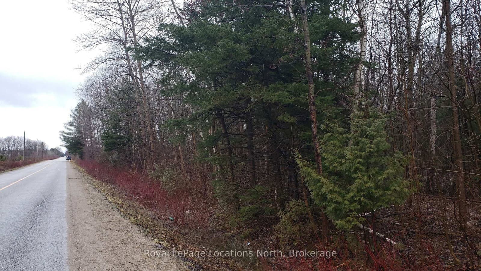 6125 Second Concession Road - Image 2