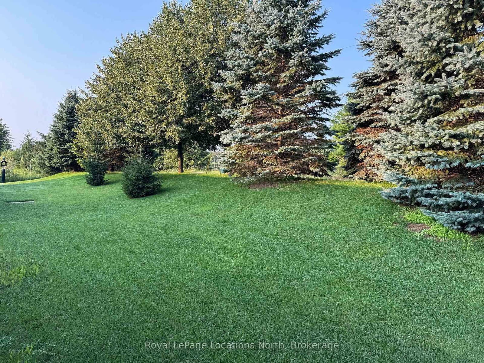 54 New York Avenue - Image 4