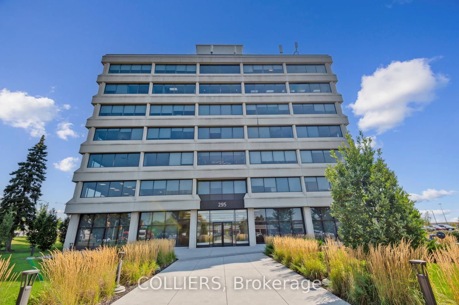 295 The West Mall, Unit 204 - Image 2