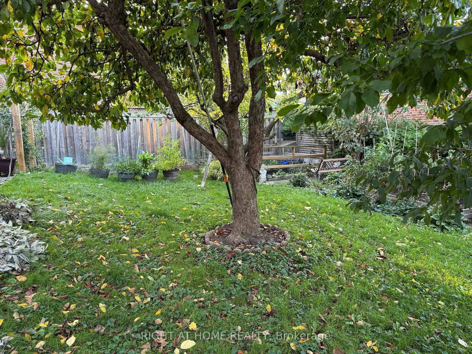258 La Rose Avenue - Image 4