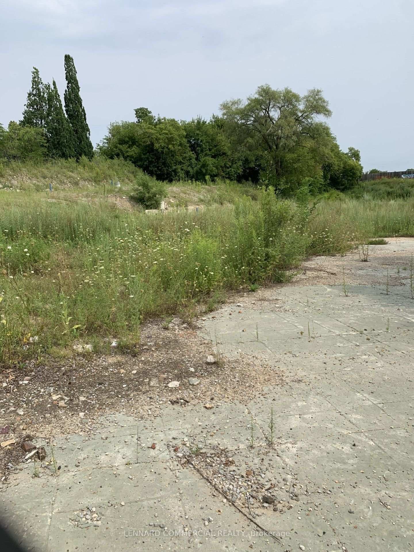 971 & 975 Weston Road - Image 4