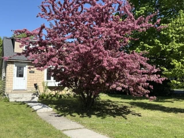 185 Compton Avenue - Image 2