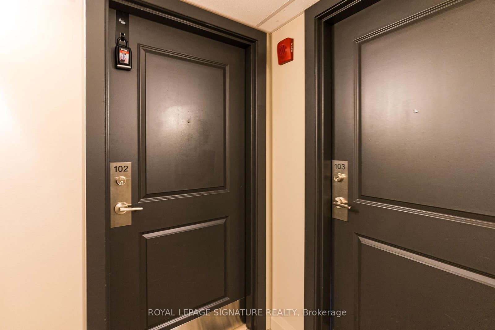 427 Aberdeen Avenue, Unit 102 - Image 5