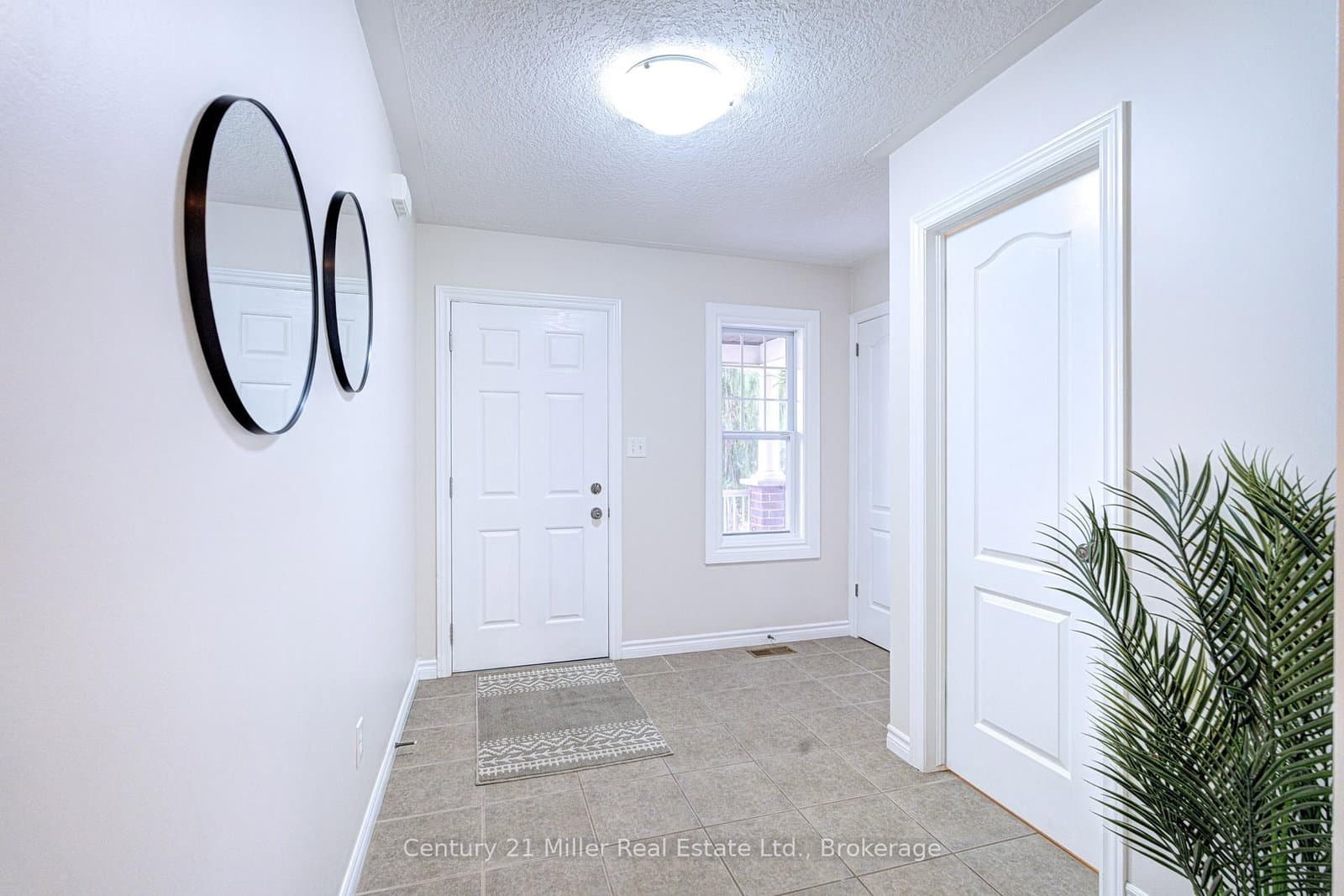 282 Carrington Drive - Image 4