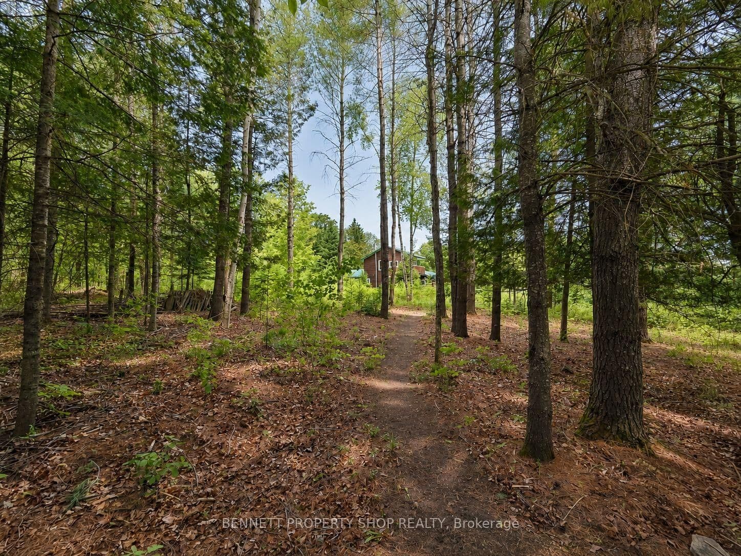 515 Graphite Bay Road - Image 3