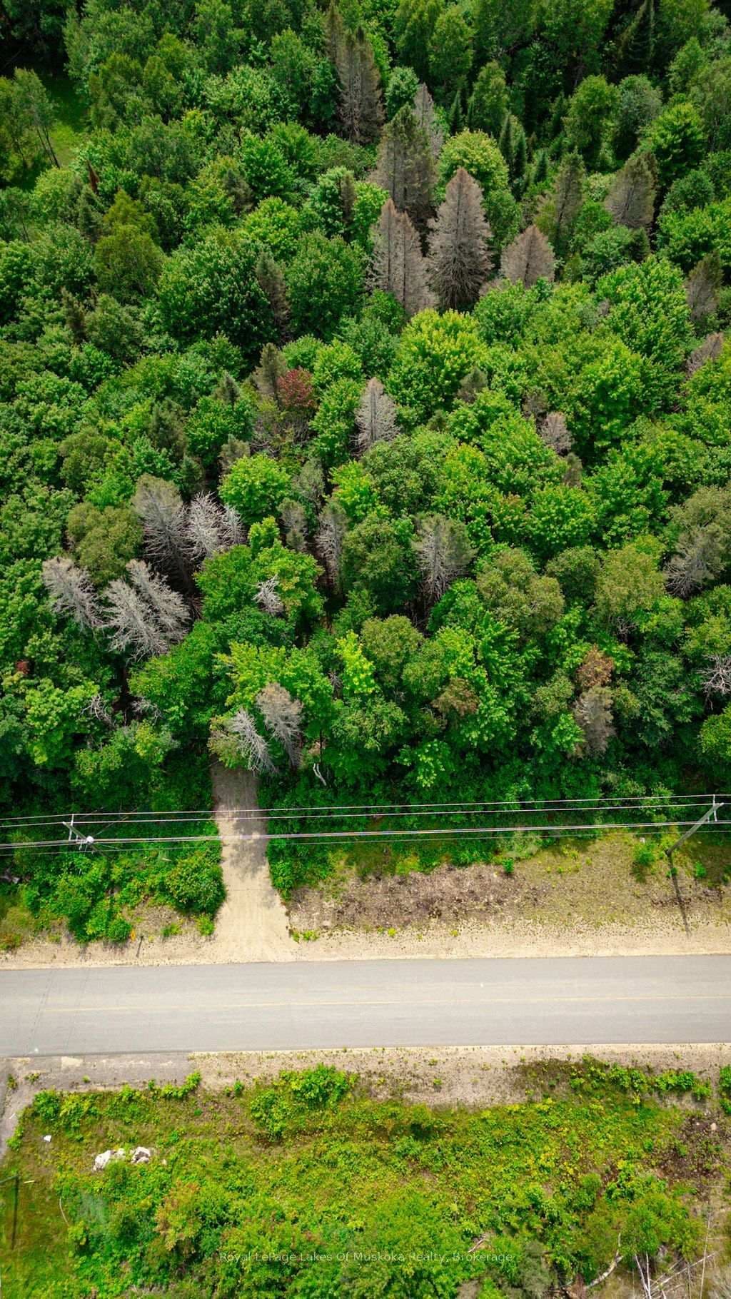167 North Pickerel Lake Road - Image 3