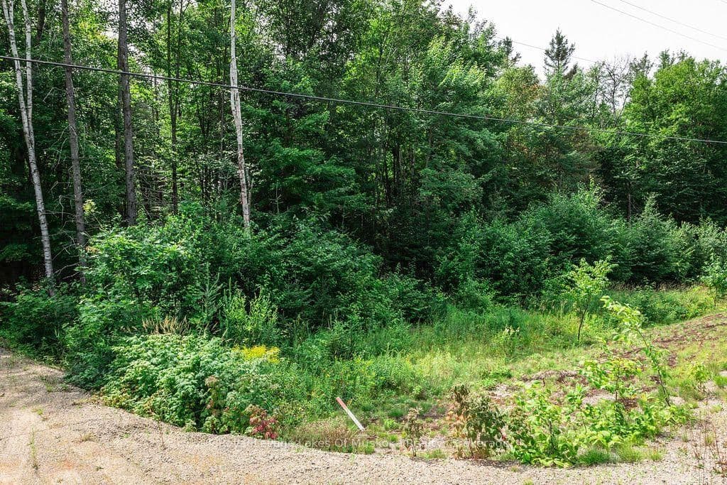 167 North Pickerel Lake Road - Image 6
