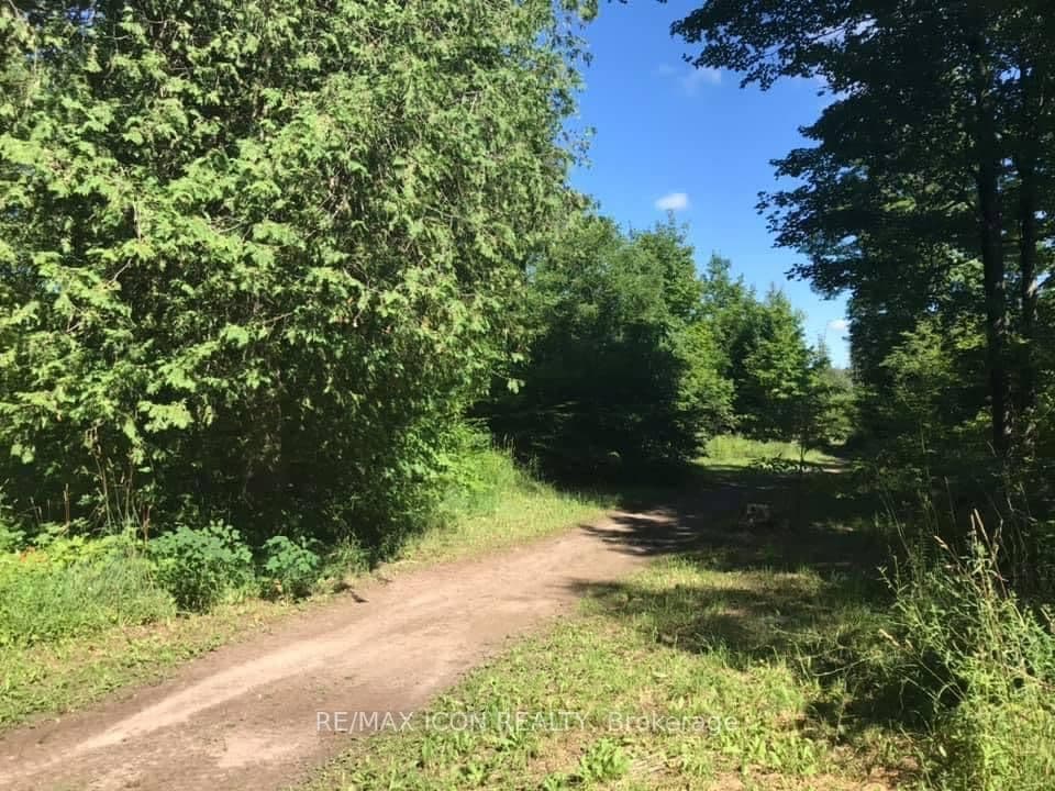 PT LT 48 CONCESSION 3 Road - Image 2
