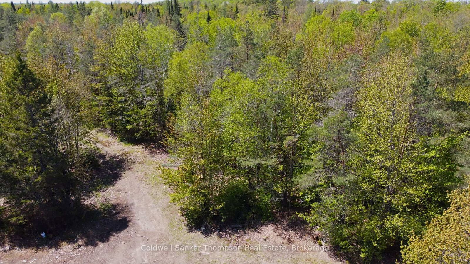 224 Madill Road - Image 6