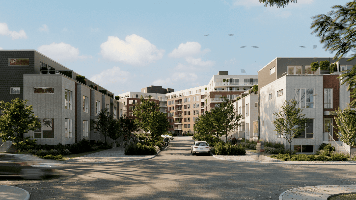 Dalia Condos